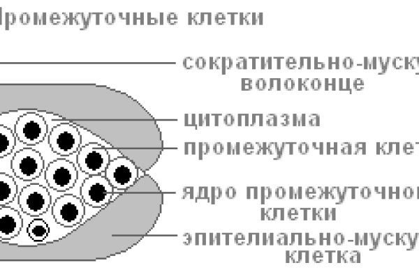 Kra23.gl