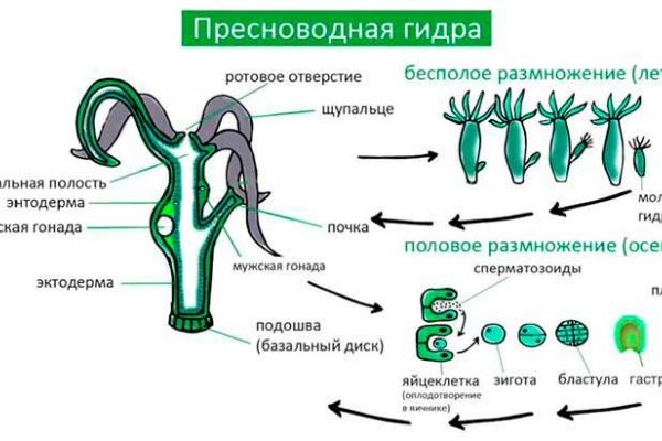 Кракен 2krnk