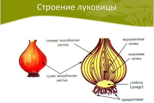 Как перейти на кракен